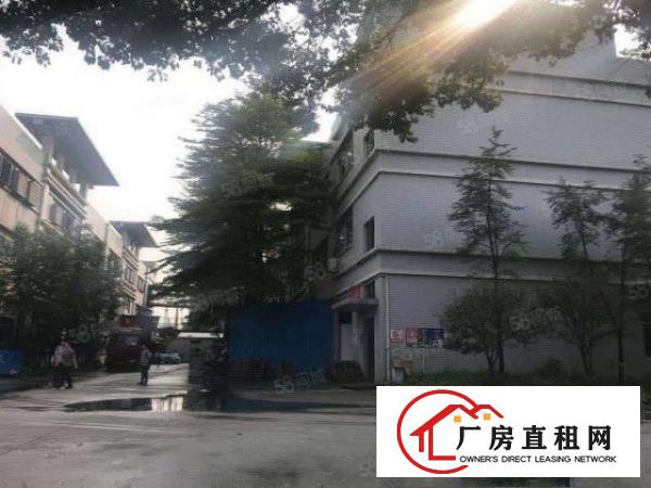  道滘原房东花园式独院标准厂房。