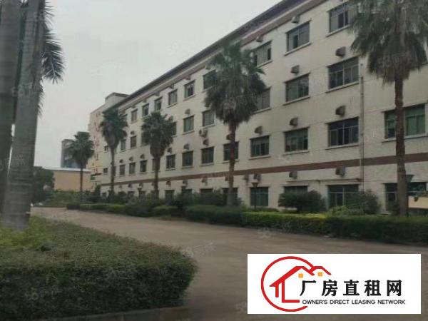  新出原房东直租花园式独院标准厂房4800平方