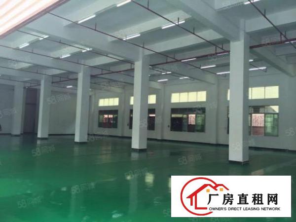  新出原房东直租花园式独院标准厂房4800平方