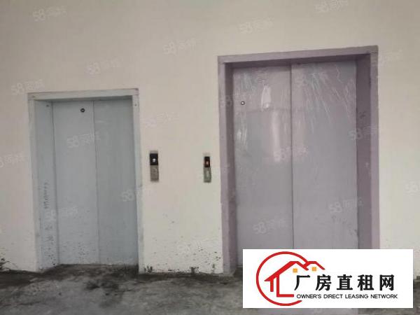  原房东实际面积出租，空地超大。