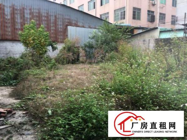  出租道滘镇道滘工业区1750平方米厂房