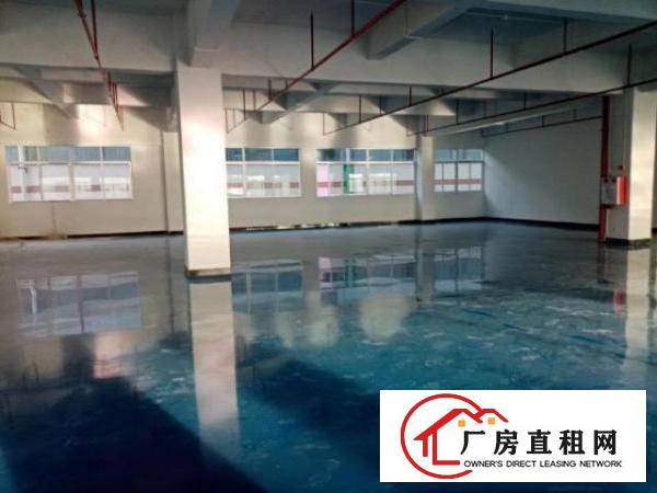  出租道滘道综合市场附近厂房450平方现成装修水电齐全
