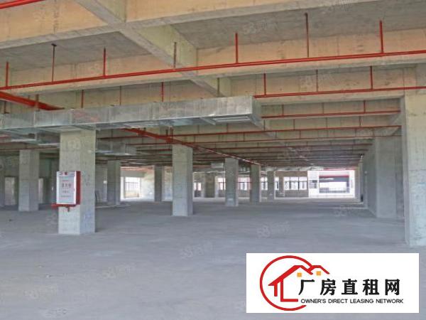  厂房租售办公楼独栋货梯一楼有仓库沿江高速口