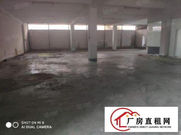  道滘原房东独院3500平厂房招租，带宿舍办公室，水电齐全