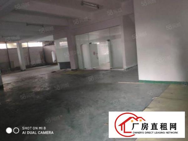  道滘原房东独院3500平厂房招租，带宿舍办公室，水电齐全