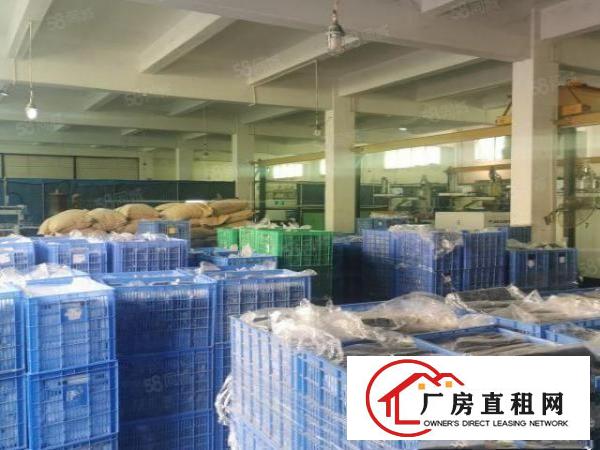  道滘原房东全新独院厂房。