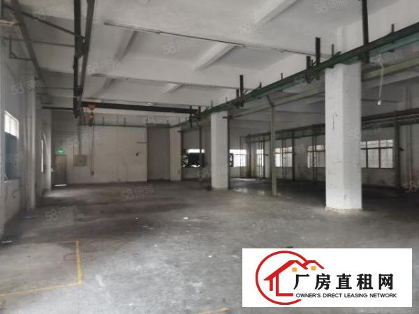  道滘原房东全新独院厂房。