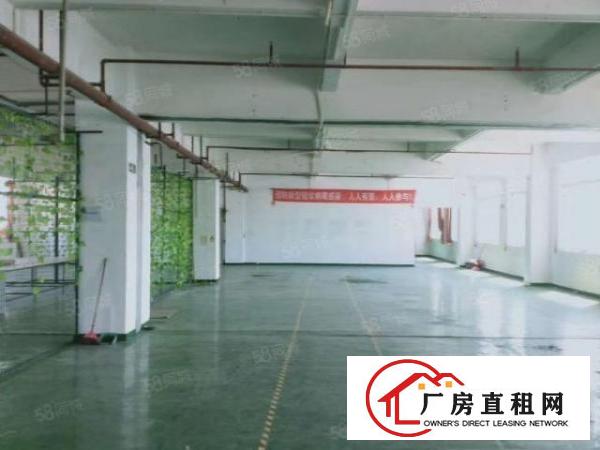  小厂房标准700平方原房东出租
