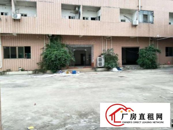  原房东独门独院单一层配办公宿舍空地超大滴水九米高厂房