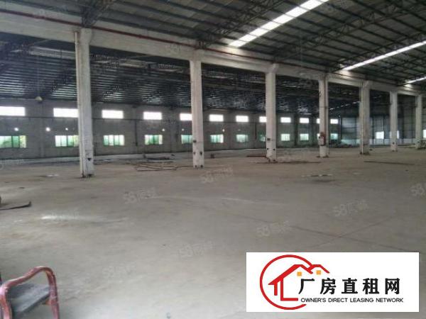  原房东独门独院单一层配办公宿舍空地超大滴水九米高厂房