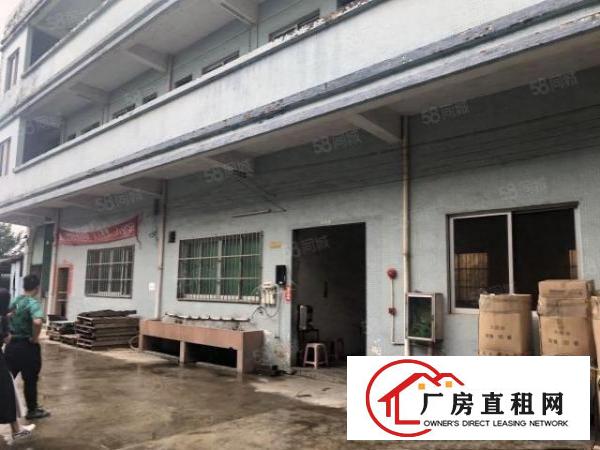  独院1200平方原房东出租