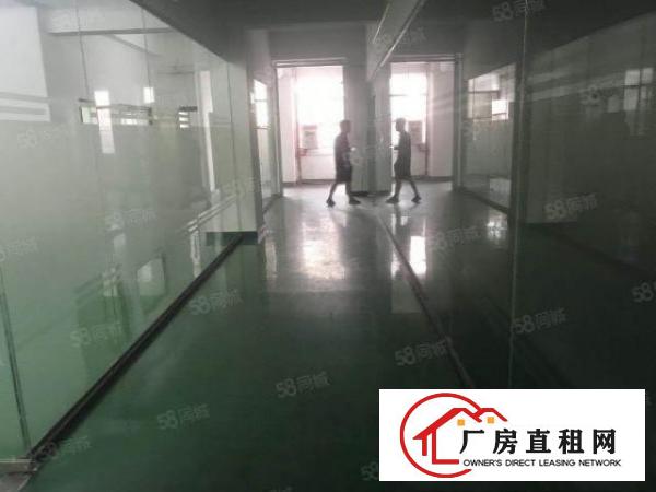  道滘南老板自己的房子可办环评红本证件齐全！！