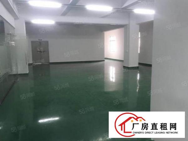  道滘南老板自己的房子可办环评红本证件齐全！！