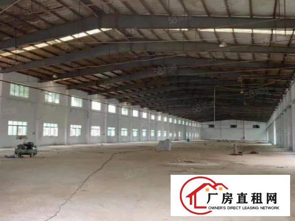  道滘新出单一层钢构滴水8米超低价出租中间无柱子水电齐全租18