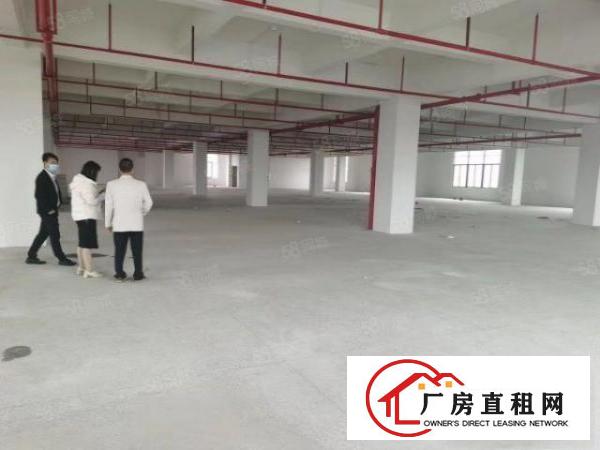  道窖新出3300厂房独门独院位置好证件齐全