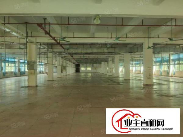  道滘新出标准厂房，租金10元