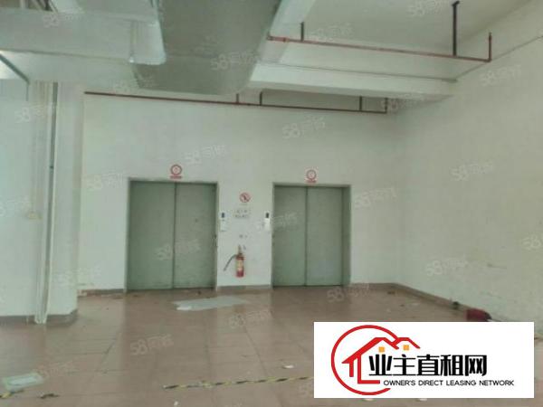  道滘新出标准厂房，租金10元