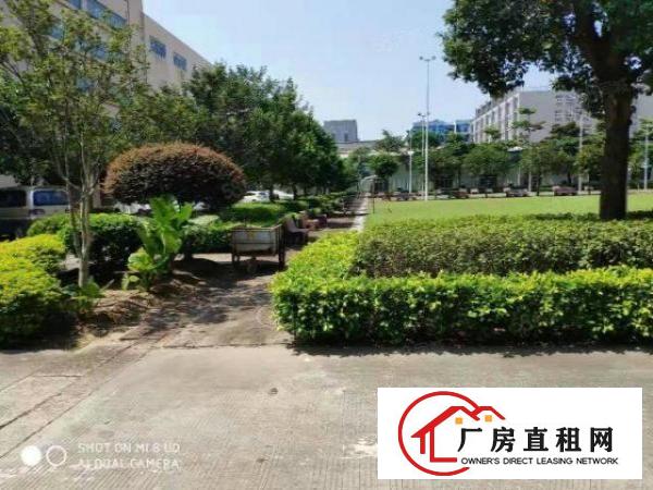  万江周边道滘南阁工业区上市公司含税实际面积厂房出租