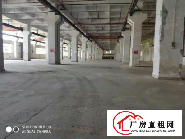  万江周边道滘南阁工业区上市公司含税实际面积厂房出租