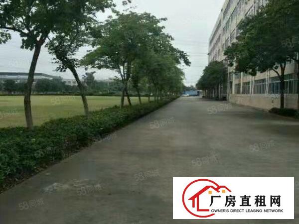 万江周边道滘南阁工业区上市公司含税实际面积厂房出租