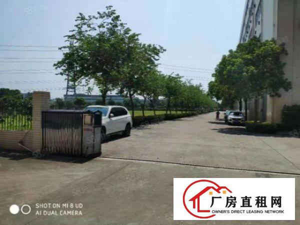  万江周边道滘南阁工业区上市公司含税实际面积厂房出租