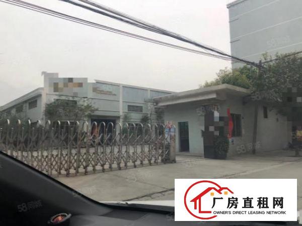  2000平方独院当房东厂房高端大气上档次