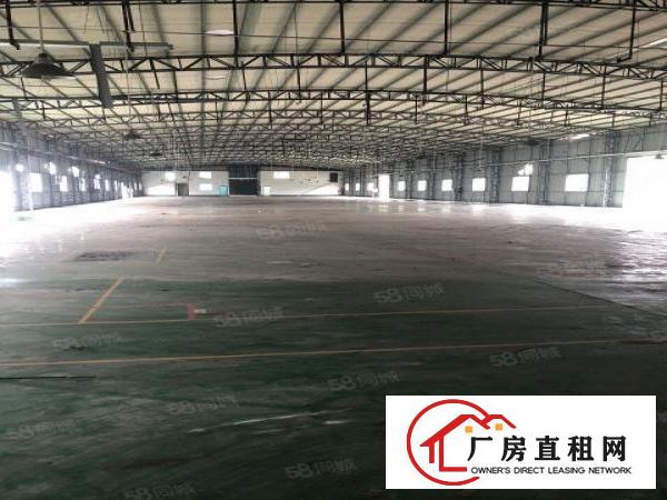  2000平方独院当房东厂房高端大气上档次