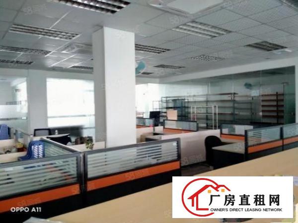  东莞道滘靠厚街独院钢构滴水十米高厂房15800单一层工业用地