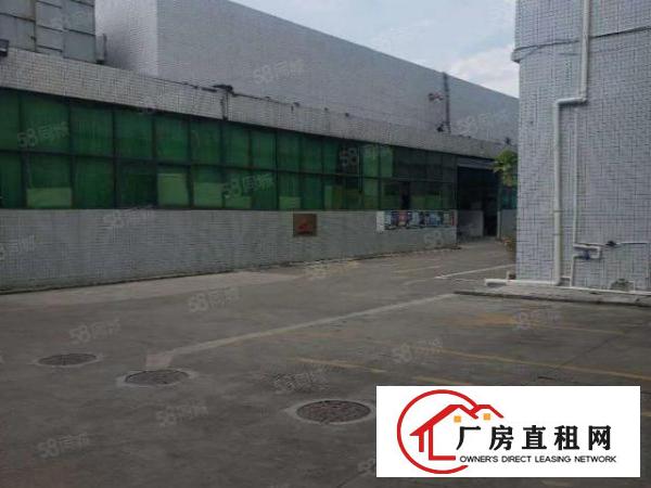  道滘新出单一层钢结构4000方，空地大，带独立办公室
