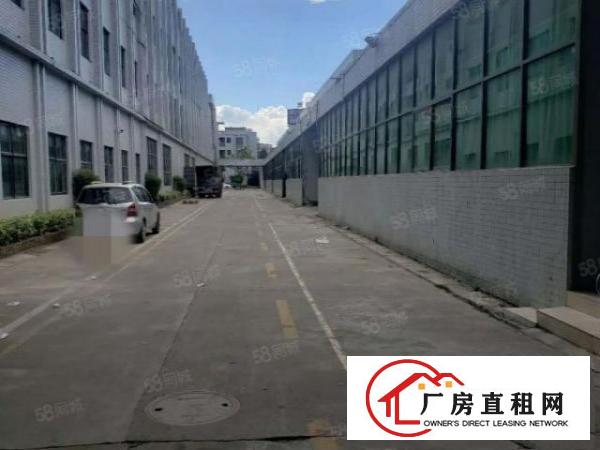  道滘新出单一层钢结构4000方，空地大，带独立办公室