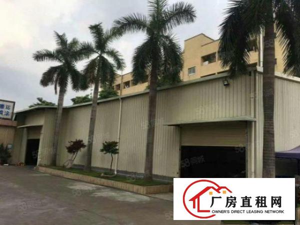  道滘工业区多间原房东厂房1000平方