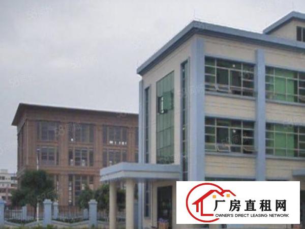  新出道滘港口大道单一层厂房仓储2000平方起租