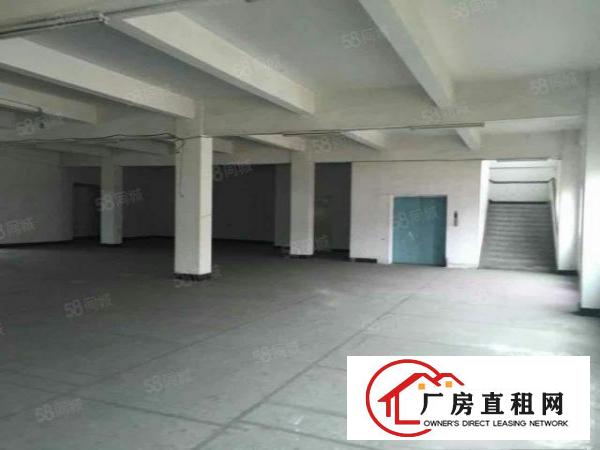  新出道滘港口大道单一层厂房仓储2000平方起租