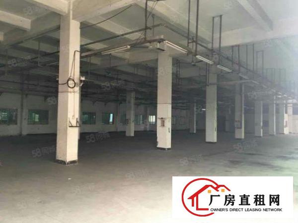  新出道滘港口大道单一层厂房仓储2000平方起租