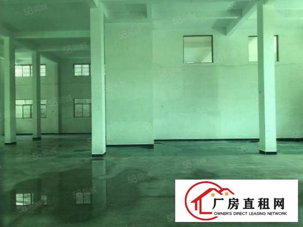  700全新原房东厂房滴水8米