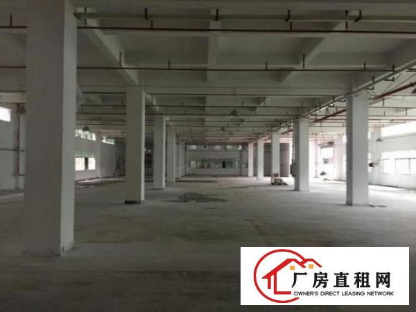  中堂.标准厂房分租楼上2、3楼2000平出租