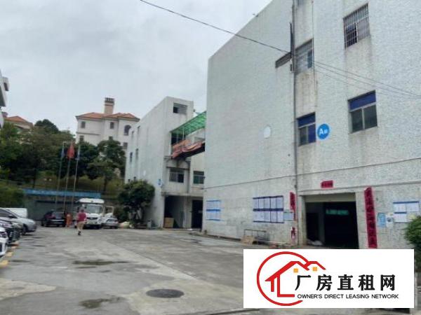  中堂镇独门独院一层1000平方厂房出租