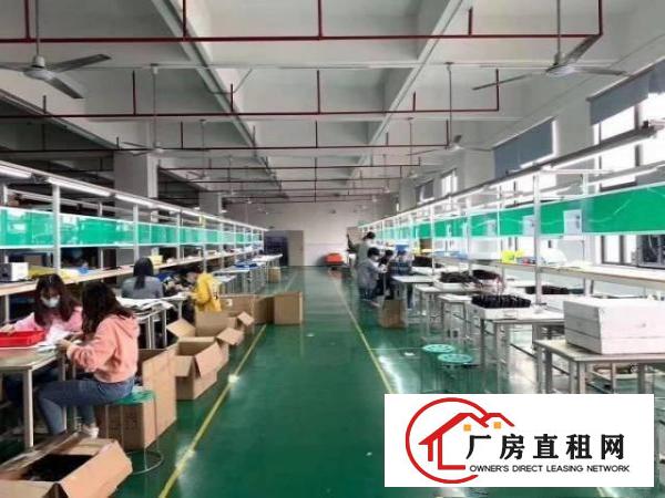  中堂镇独门独院一层1000平方厂房出租