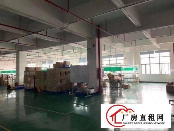  中堂镇独门独院一层1000平方厂房出租