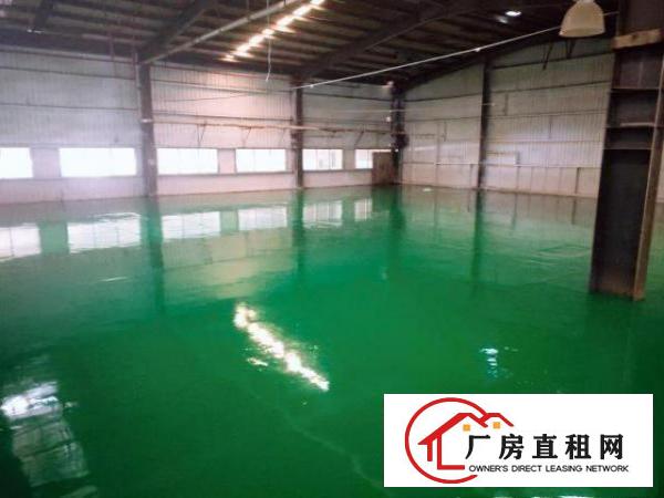  中堂原房东厂房低价出租100-50000平方可整租可分租