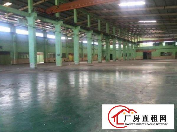  中堂原房东厂房低价出租100-50000平方可整租可分租