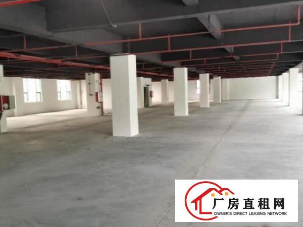 业主出租中堂麻涌标准厂房1500平方