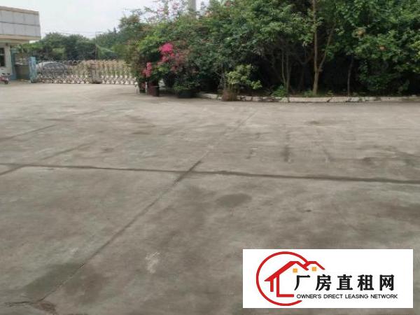  原房东独门独院单一层滴水十米钢结构带牛腿招租