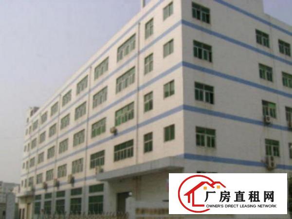  中堂独院标准厂房分租楼上3楼2000平方出租精装办公室有电梯