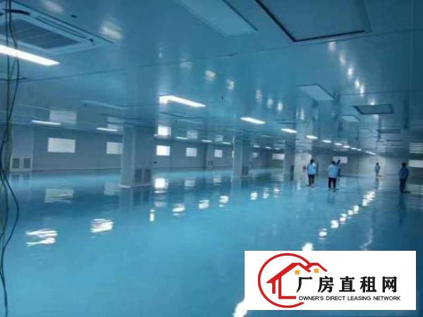  无尘车间出租无需转让费