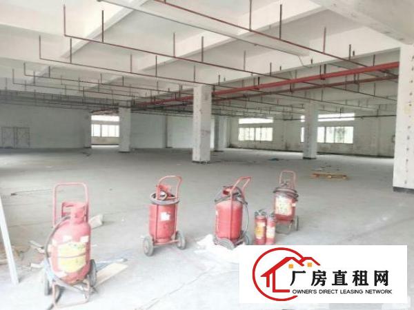  标准厂房加大加长3吨货梯
