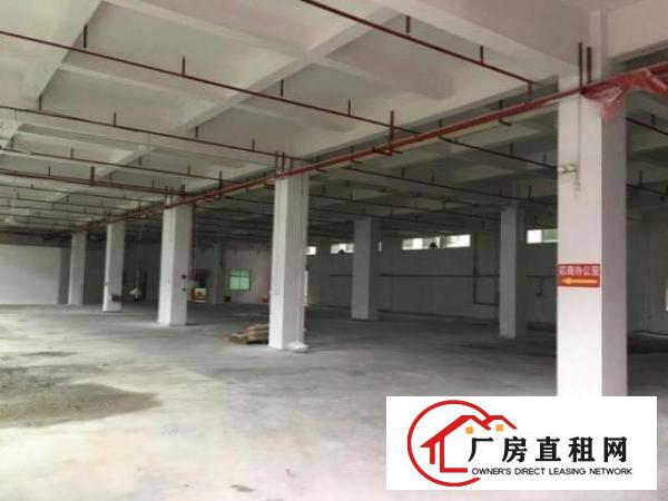  中堂标准一楼厂房1500平米低价招租
