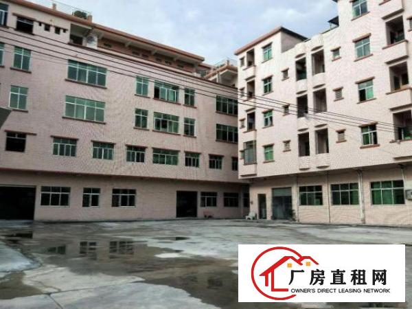  中堂标准一楼厂房1500平米低价招租