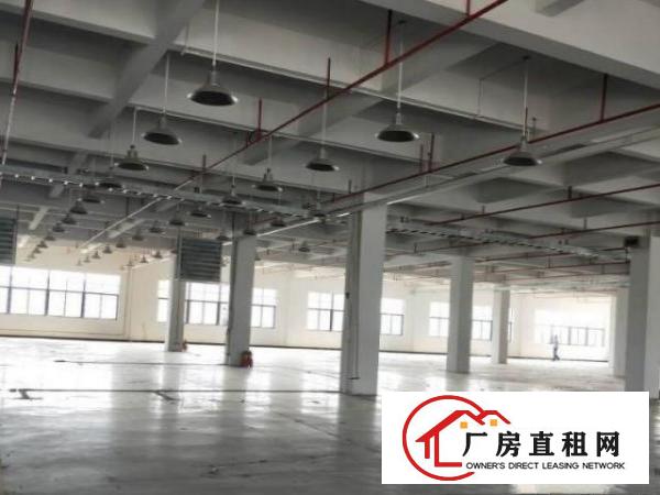  中堂潢涌新出独院标准楼房3500平方出租