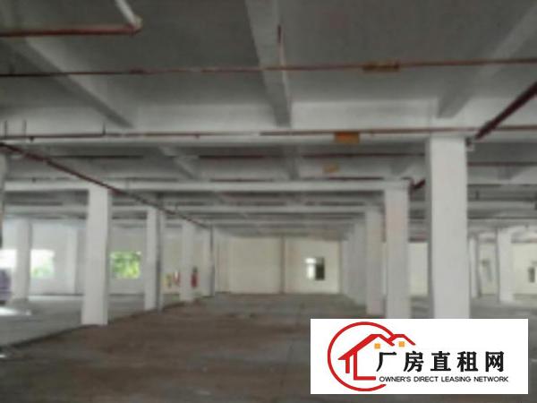  中堂1000、2000、3000平方一楼厂房出租消防水电齐全